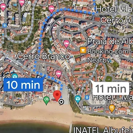 Apartament The Olive Tree